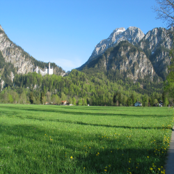 Neuschwanstein  Picture 151.jpg